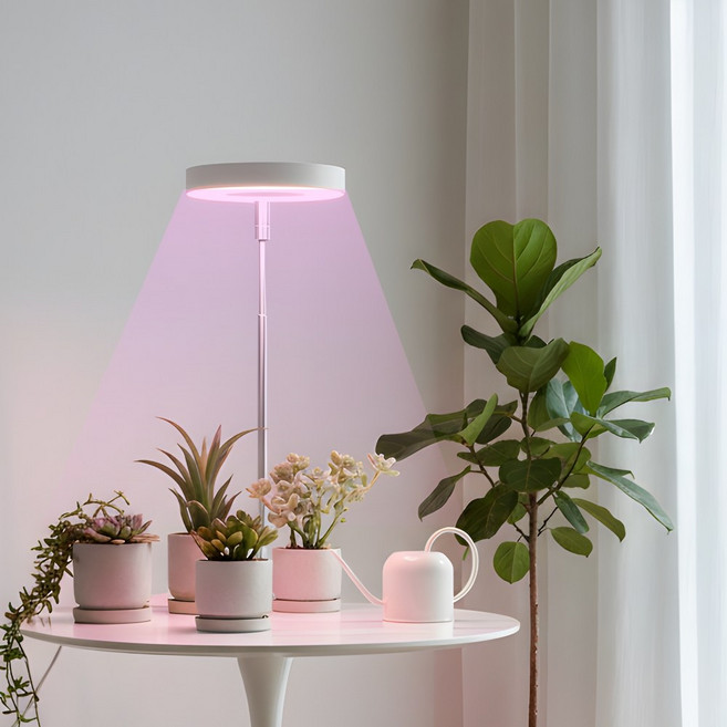 LENA ENERGY 定時器圓形植物燈 白色