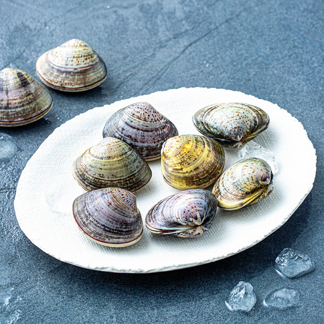 국내산 백합조개 (냉장), 1개, 400g