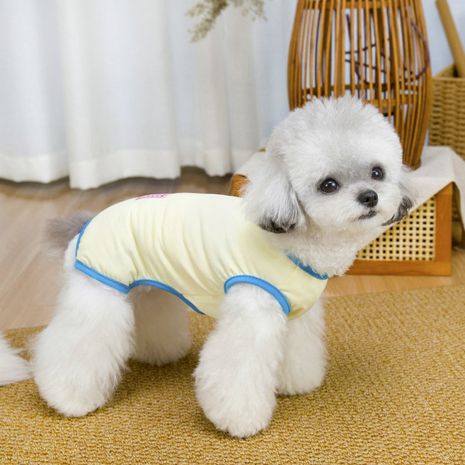 파스텔펫 반려동물 러브 라인 올인원, 옐로우, 1개