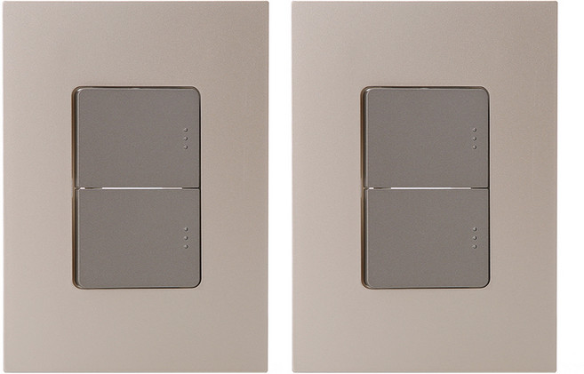 第一電氣工業 Adonis 開關 1路2開 香檳金, 2個