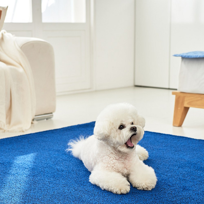 마일드 워셔블 모던한 투톤 솔리드 단모 사각 러그