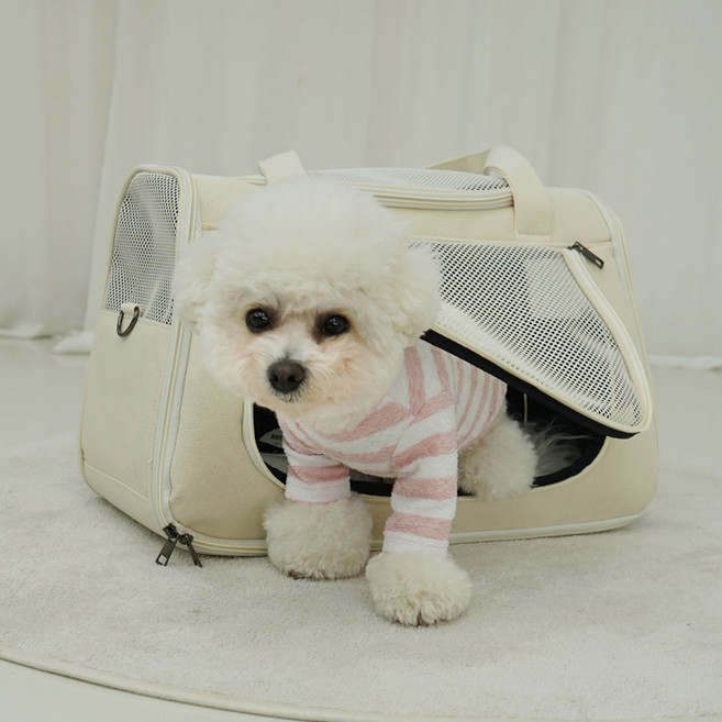 레드퍼피 반려동물 앵글라 이동가방, 아이보리, 1개