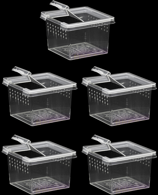 레몽크리프 파충류 미니 케이지 사육장 적재함 6.5 x 6.5 x 4.5 cm, 투명, 5개