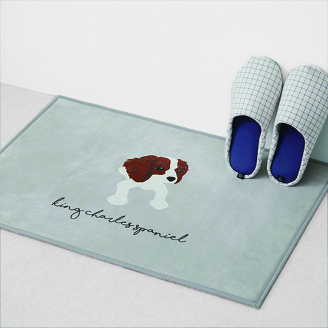 끌래망스 코카 발매트, 그레이