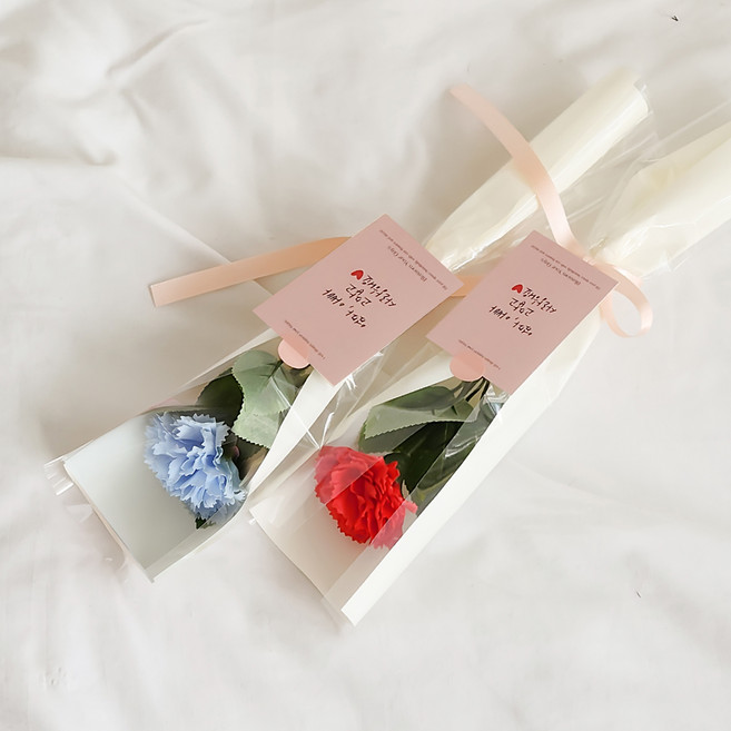 아스파시아 플르 카네이션 메시지 비누꽃 한송이 꽃다발 2종 세트, 레드, 블루(엄마, 아빠 고맙고 사랑해요), 1세트