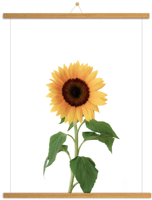 마벨인홈 우드족자 + 썬플라워F 포스터 + 꼭꼬핀 세트, 모카우드