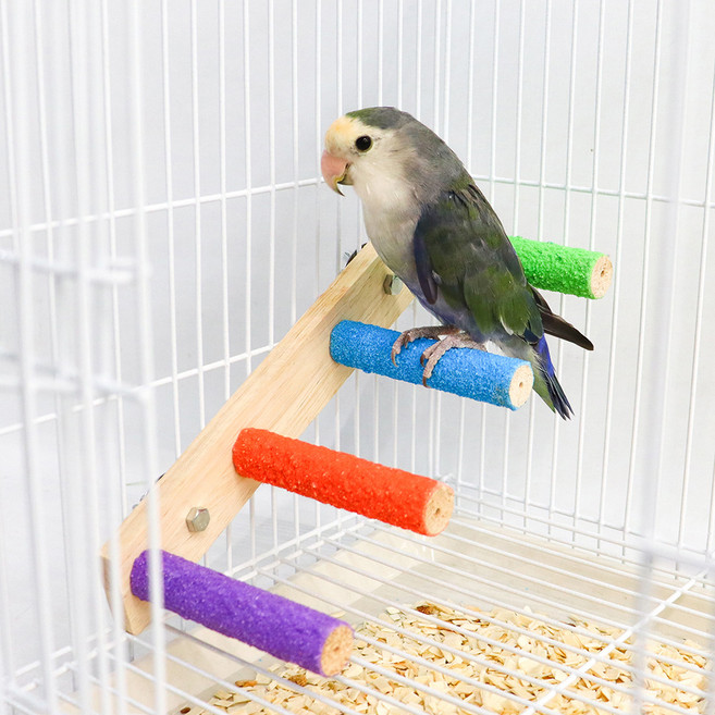 조류 알록달록 일자형 발톱갈이 사다리 S, 랜덤발송, 1개