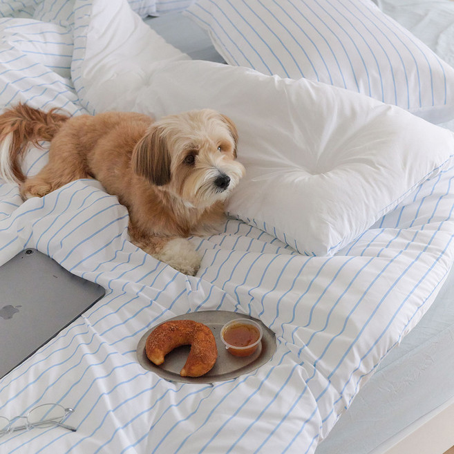 깃든 반려동물과 함께쓰는 나란히 스트라이프 사계절 차렵이불