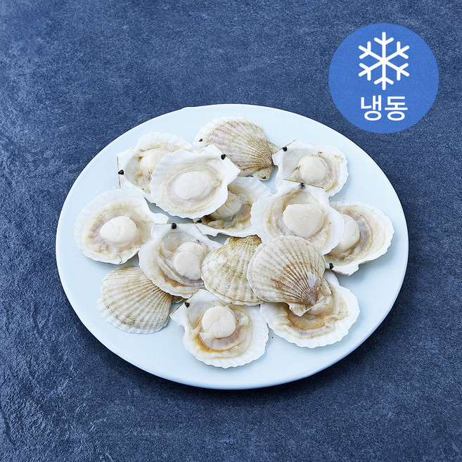 The더착한 반가리비 (냉동), 1개, 720g(28/32미)