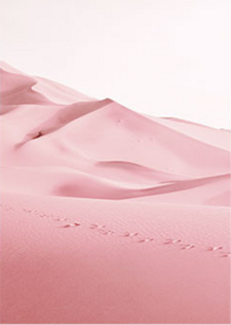 위모던 인테리어 액자 핑크샌드 1