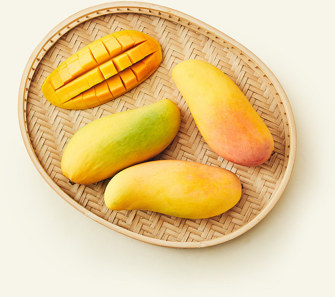 원월드 태국산 마하차녹 망고 4입, 1개, 1.1kg