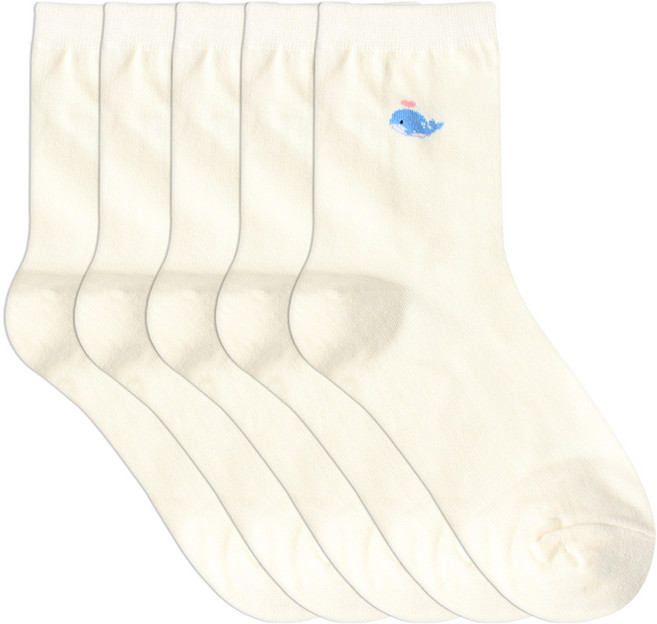 박군 여성용 미니고래 중목 양말 5켤레 세트