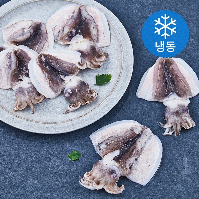 국내산 송도씨 손질 갑오징어 (냉동), 500g(소, 5~7미), 1개