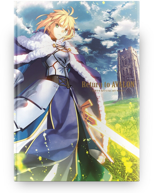 DAEWON CULTURE INDUSTRY Return to Avalon： 武內崇 Fate Art Works 插畫畫集