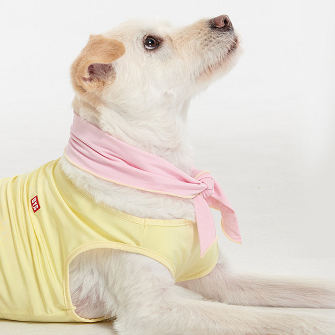 BYC 반려동물 보디드라이 쿨스카프 ODB0004, PK(핑크)/L, 1개