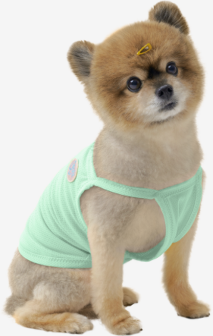 네오핏 강아지 쿨링 크롭 티셔츠, 민트, 1개