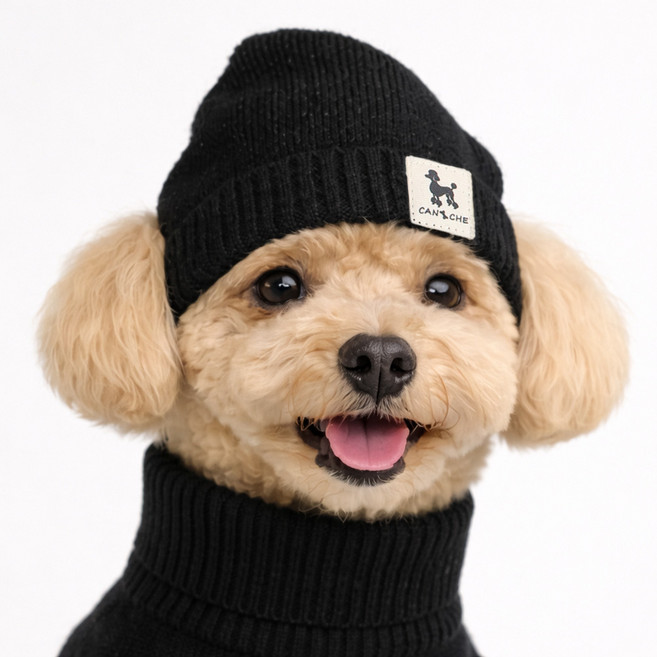 그루밍댕이 반려동물 커프니트 비니, 블랙, 1개