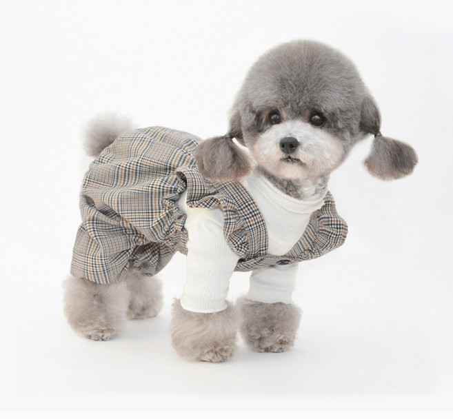 펫보스 강아지 봄 가을 멜빵 호박바지 올인원, 블루체크, 1개