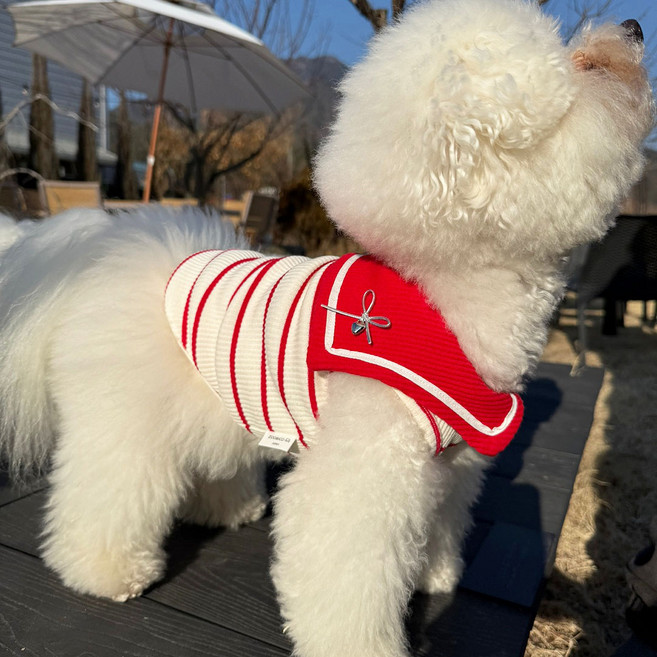 쥬비코 강아지 마린 티셔츠, 레드, 1개