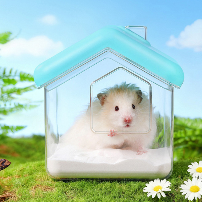 랜보어 햄스터 하우스 모래 목욕통 13.5 x 14 x 16 cm, 블루, 1개