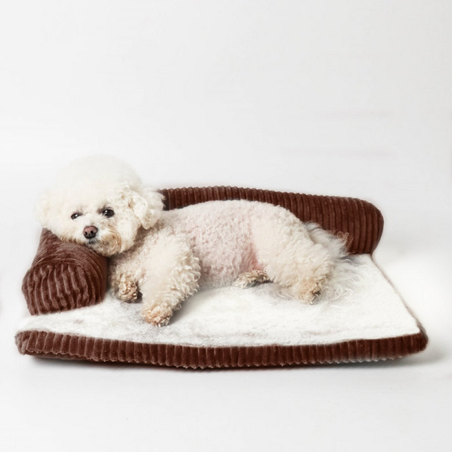 딩동펫 반려동물 사각방석, 브라운, 1개