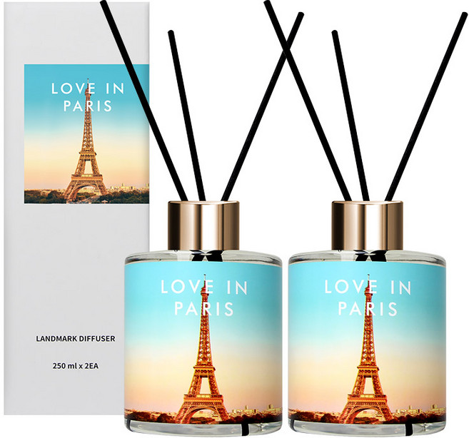 플렌느 랜드마크 디퓨저 250ml 2p + 섬유스틱 10p 세트, 러브인파리, 1개