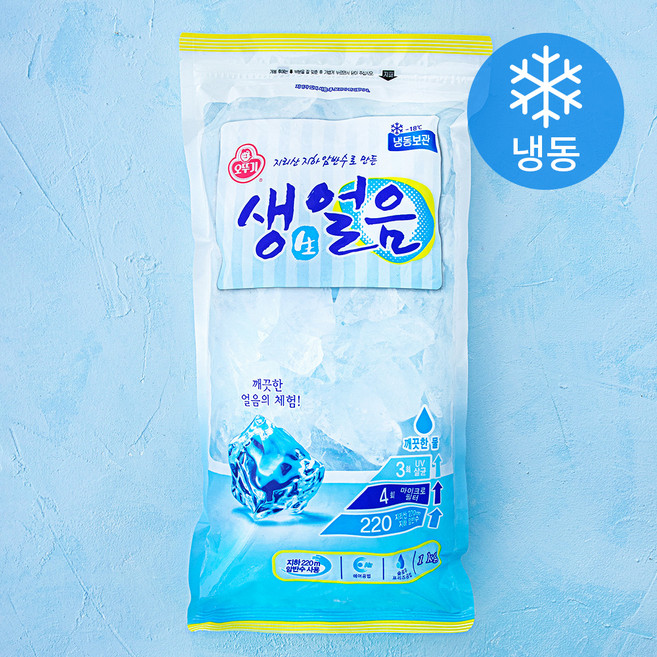 오뚜기 생얼음 (냉동), 1kg, 1개