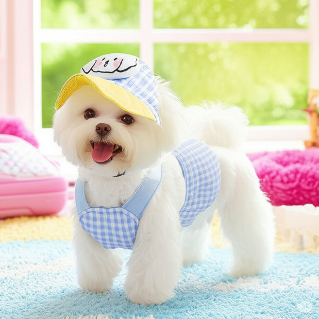 예보들 강아지 하네스 + 리드줄 + 모자 3종 세트, 1세트, 블루