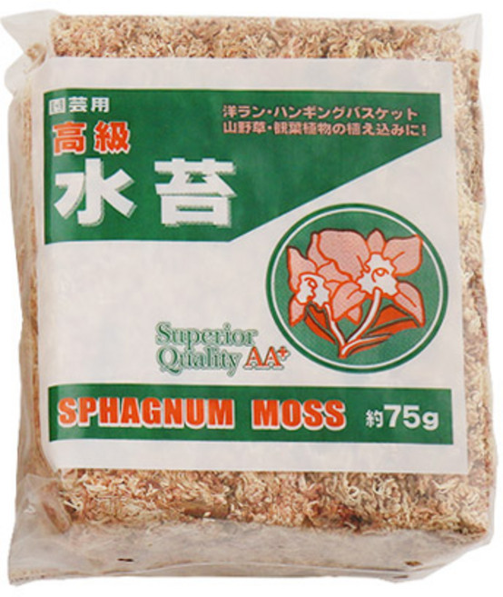 테라리움 토피어리 수태, 1개, 75g