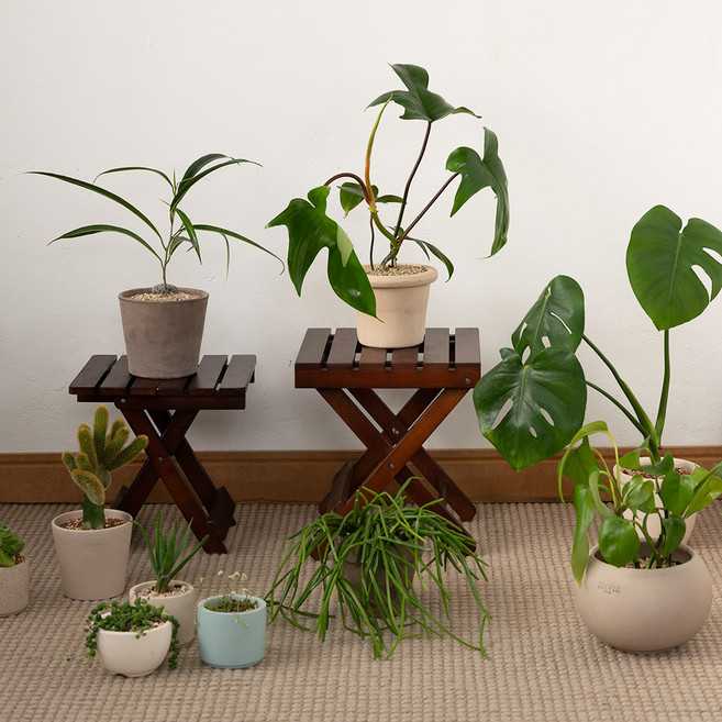 리빙숲 원목 접이식 미니 선반의자 중, 브라운, 1개