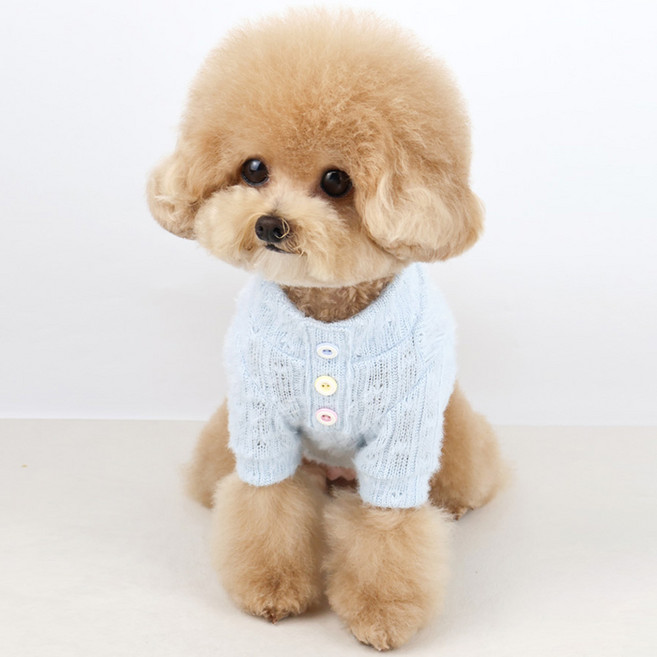 그루밍독 반려동물 옷 젤리단추 니트, 블루, 1개