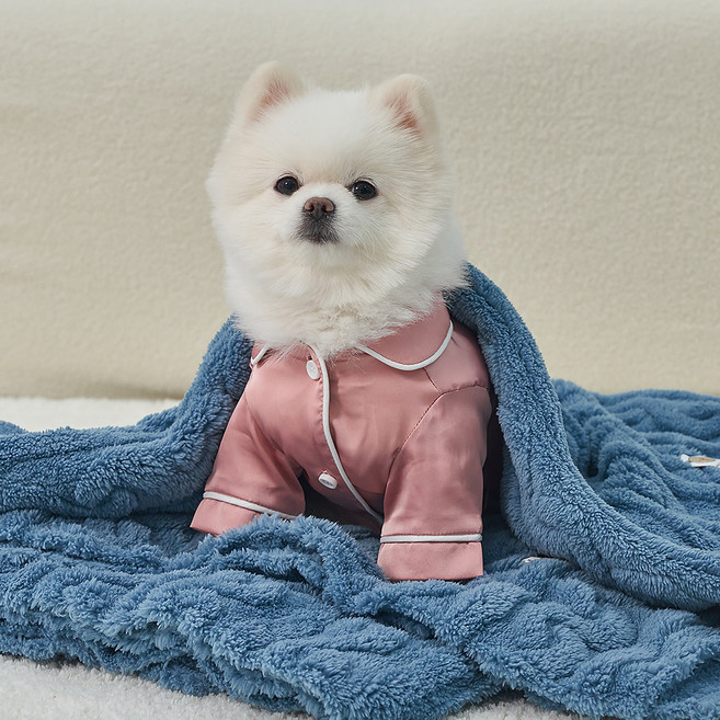 도그아이 반려동물 펫 꽈배기 담요, 로얄블루, 1개