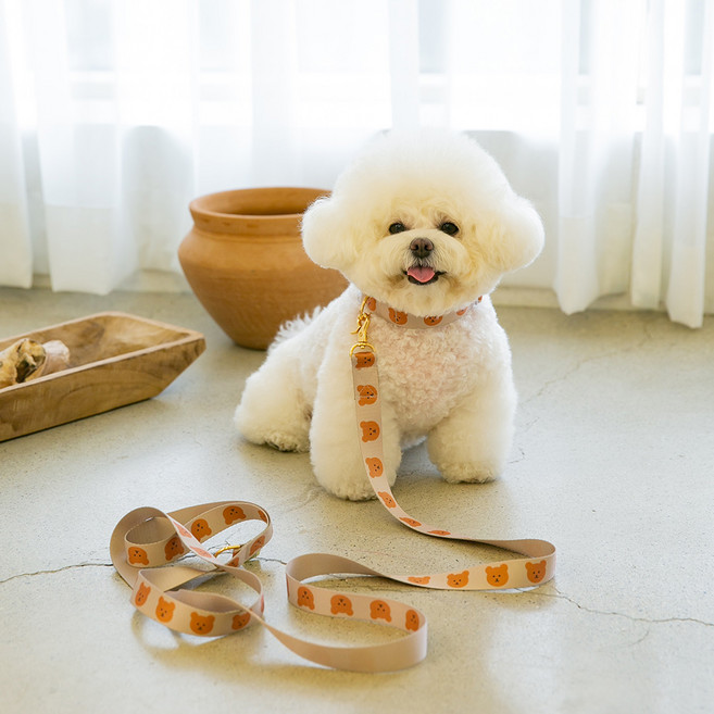 어거스몬 강아지 심플베어 리드줄, 베이지, 1개