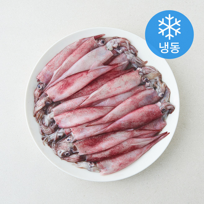 The더착한 한치 화살오징어 (냉동), 1개, 900g(소/7~12cm)