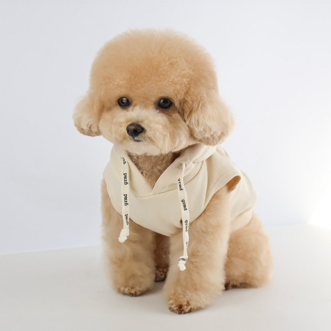 Grooming Dog 寵物情侶裝 露營連帽無袖T恤, 奶油色, 1個