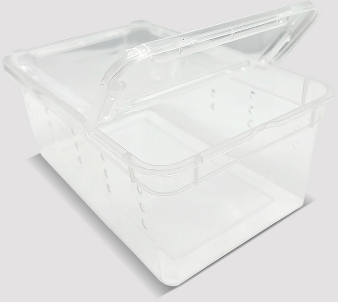 노모이펫 반려동물 H3 파충류 양서류 피딩박스 S 19 x 12.5 x 7.5 cm, 투명, 1개