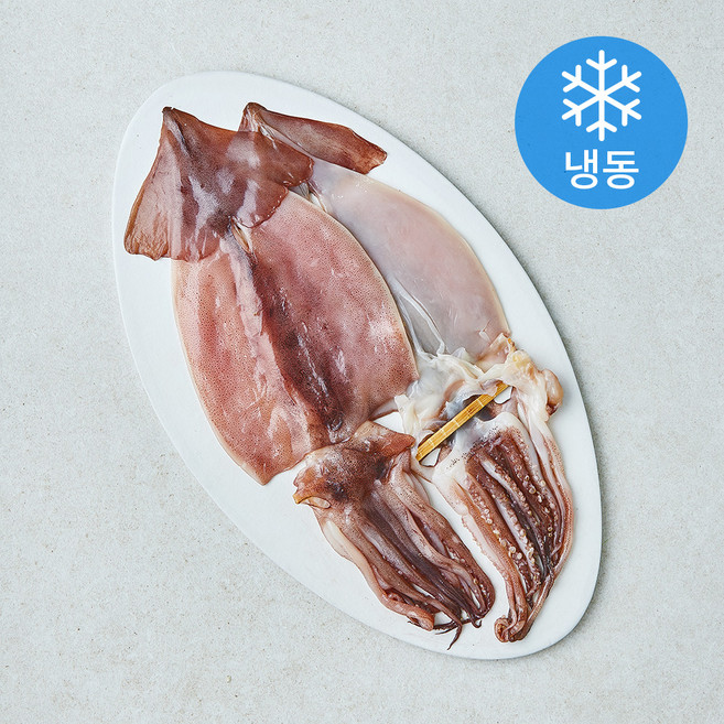 삼천포 상회 반건조 오징어 2마리 (냉동), 1개, 180g