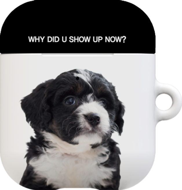 코쿼드 9C9C 에어팟 1 / 2세대 하드케이스, 바둑이, 1개