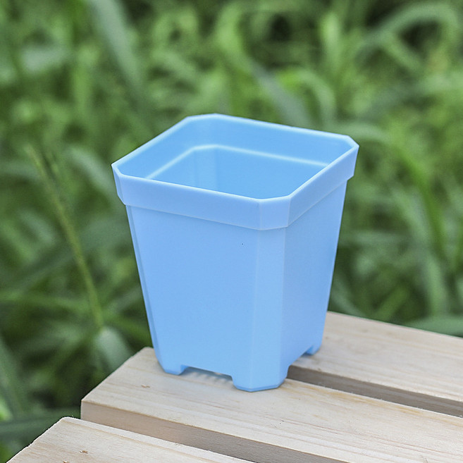 미화부장 가벼운 마카롱 분갈이 파종 유묘 삽목 사각 미니 플라스틱 슬릿 화분 + 받침, 04블루, 5세트