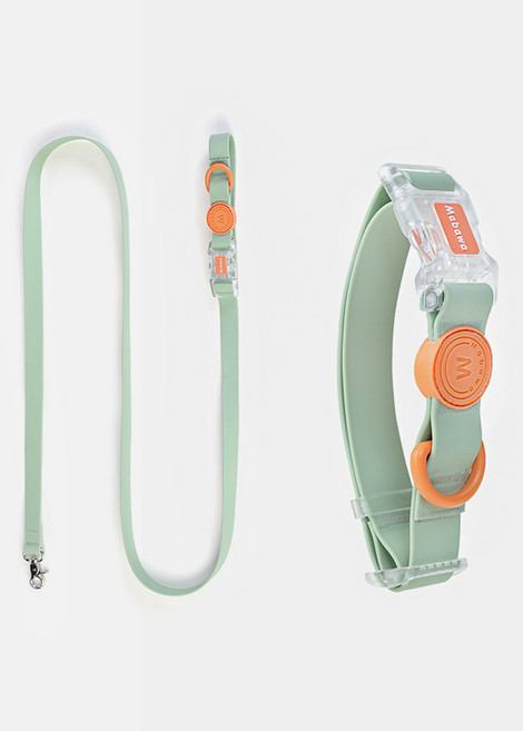 파스텔펫 반려동물 컬러 방수 목줄 + 리드줄 세트, 그린, 1세트