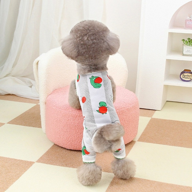 코코스튜디오 강아지 여름 메쉬 레인보우 올인원, 공룡, 1개