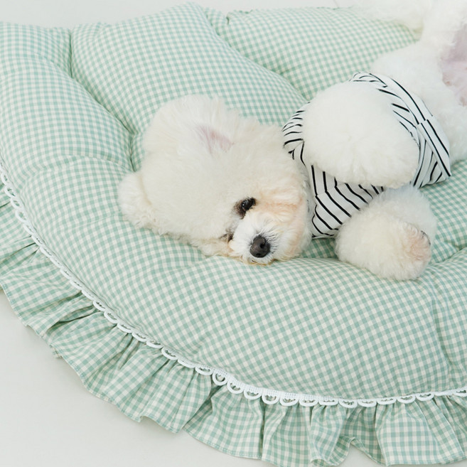 레드퍼피 큐티 레이스 쿠션, 민트, 1개