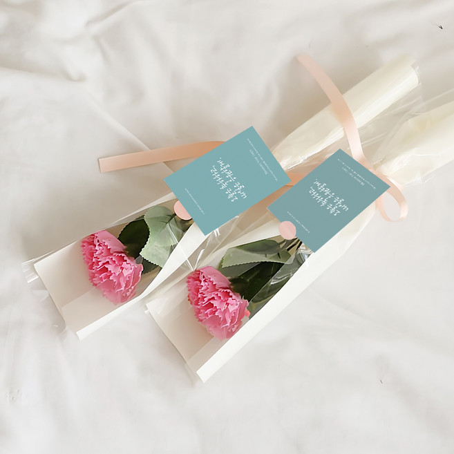 아스파시아 메시지 2p + 조화 플르 카네이션 한송이 비누 꽃다발 2p 세트 오늘은 축하하고 내일은 응원할게, 핑크, 2개