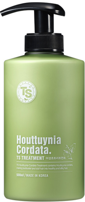 TS 어성초 탈모 트리트먼트, 1개, 500ml