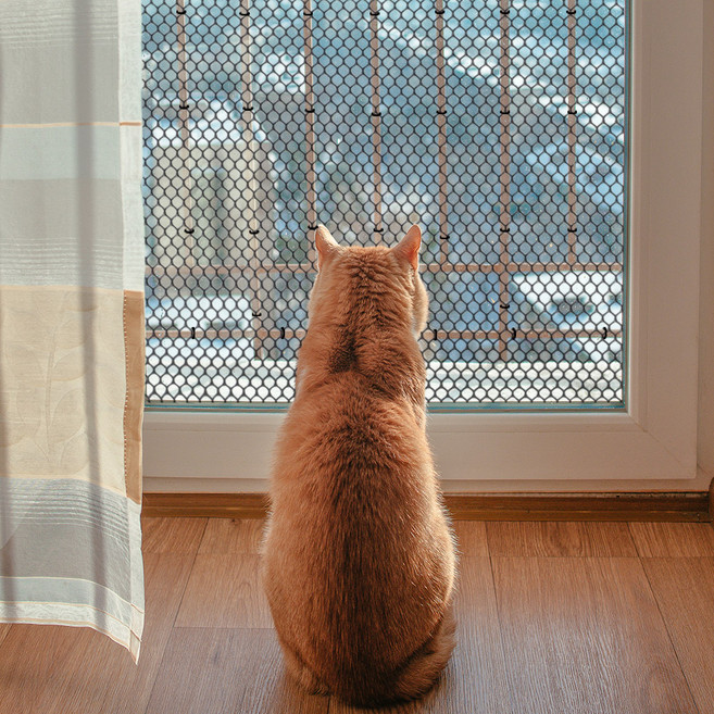 딩동펫 반려동물 헥사곤 안전 울타리망 블랙, 1개