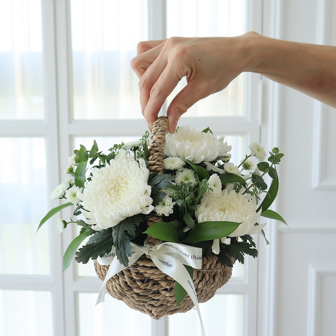 모리앤 생화 그리움을 전하는 미니꽃바구니, 화이트