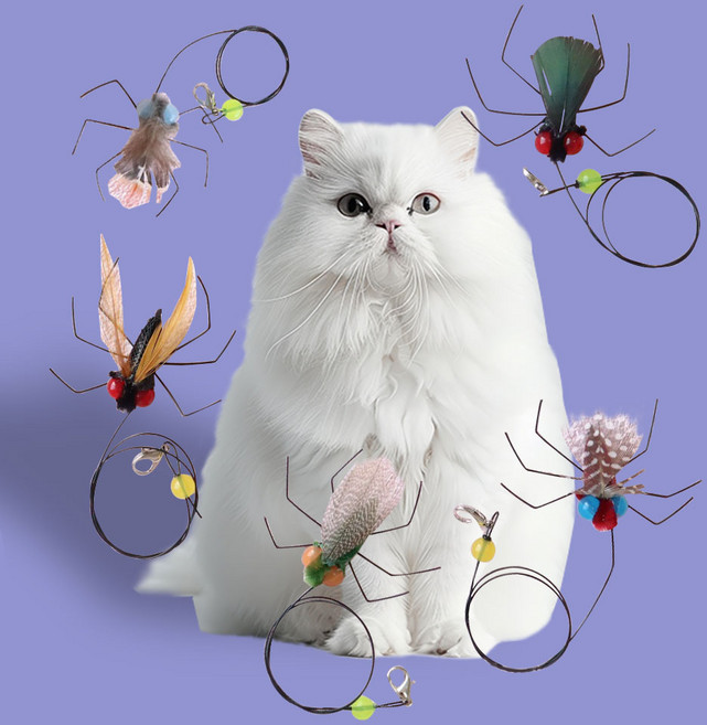 딩동펫 고양이 낚싯대 리필 세트 모음, 왕눈이 깃털 파리 5종, 1세트