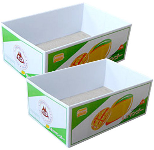 박스 평판형 스크래쳐, 망고, 2개