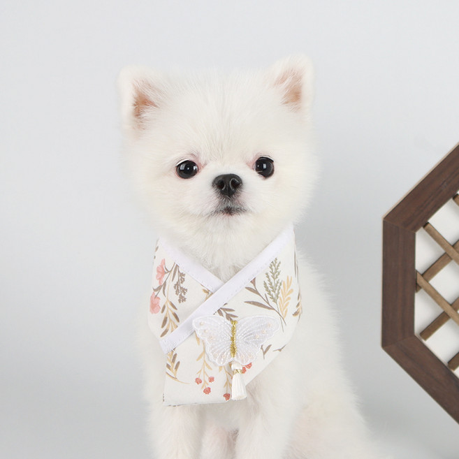 리토가토 반려동물 단아 한복 케이프 XL, 1개, 백색