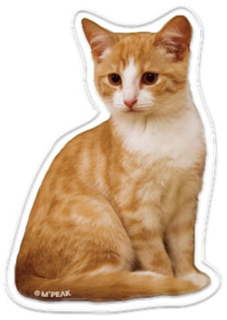 엠픽 냥냥이 아크릴 스마트톡, 1개, 치즈냥